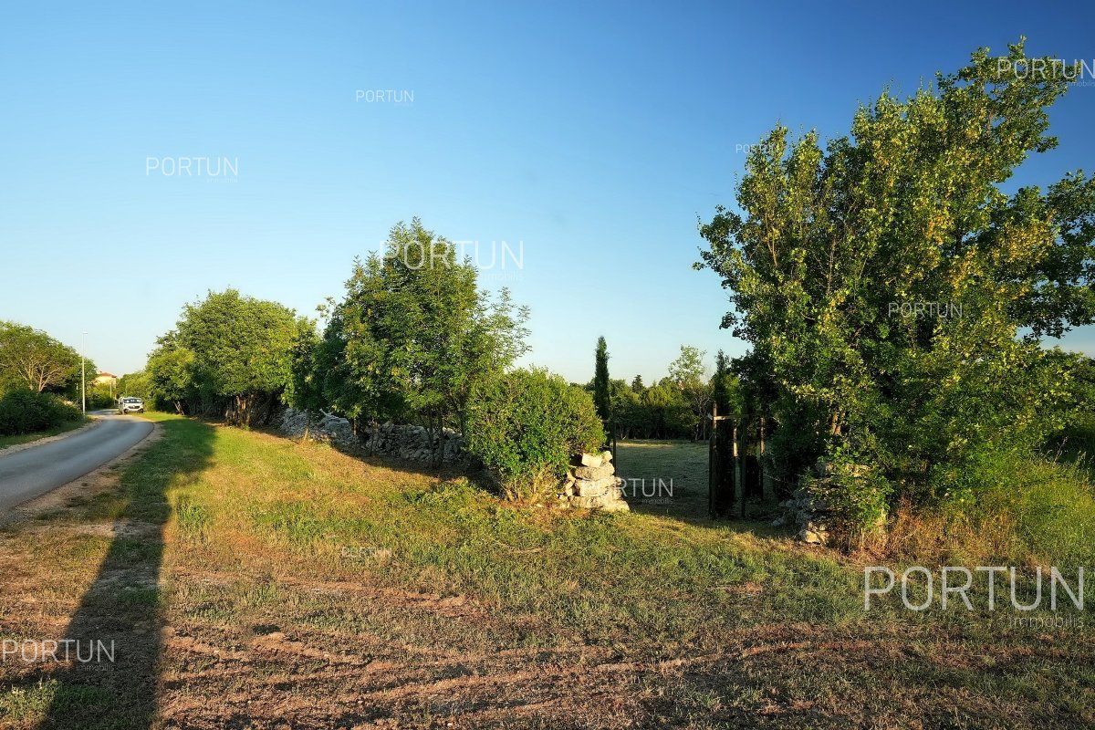 Terreno in vendita a  - 40675 - 01