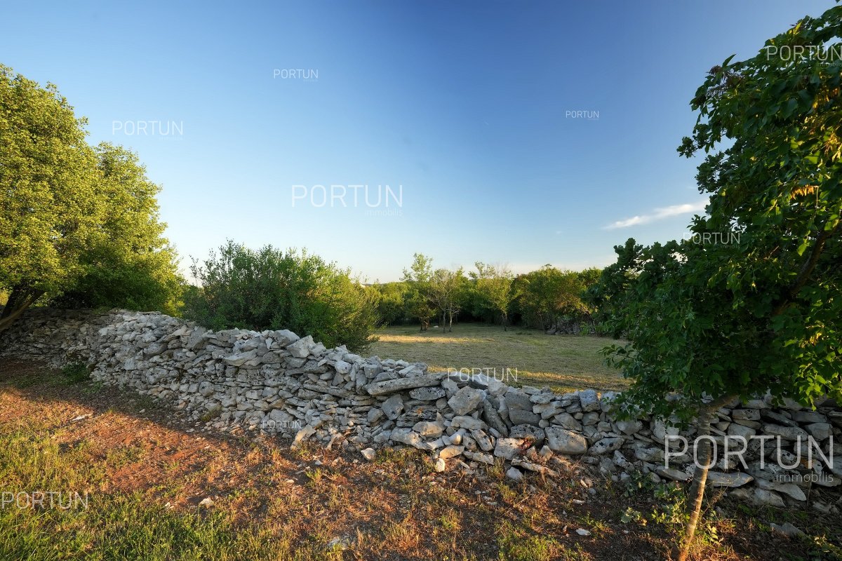 Terreno in vendita a  - 40675 - 00