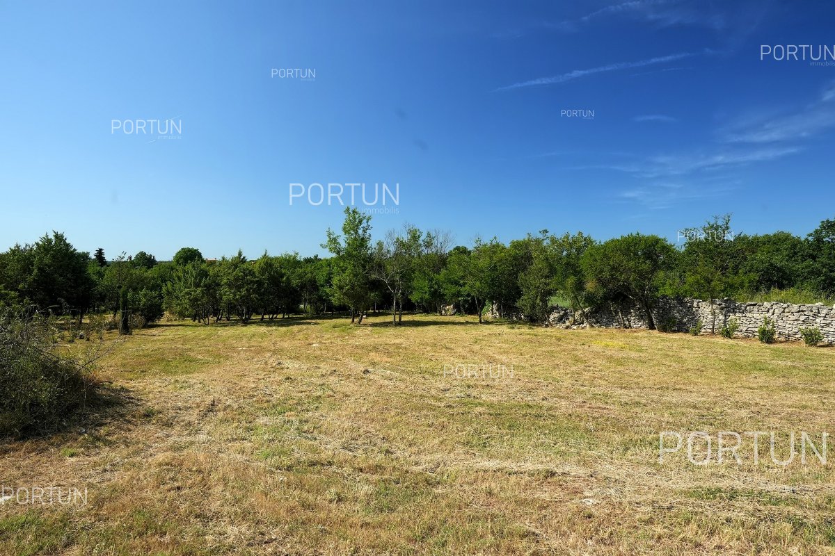 Terreno in vendita a  - 40675 - 06