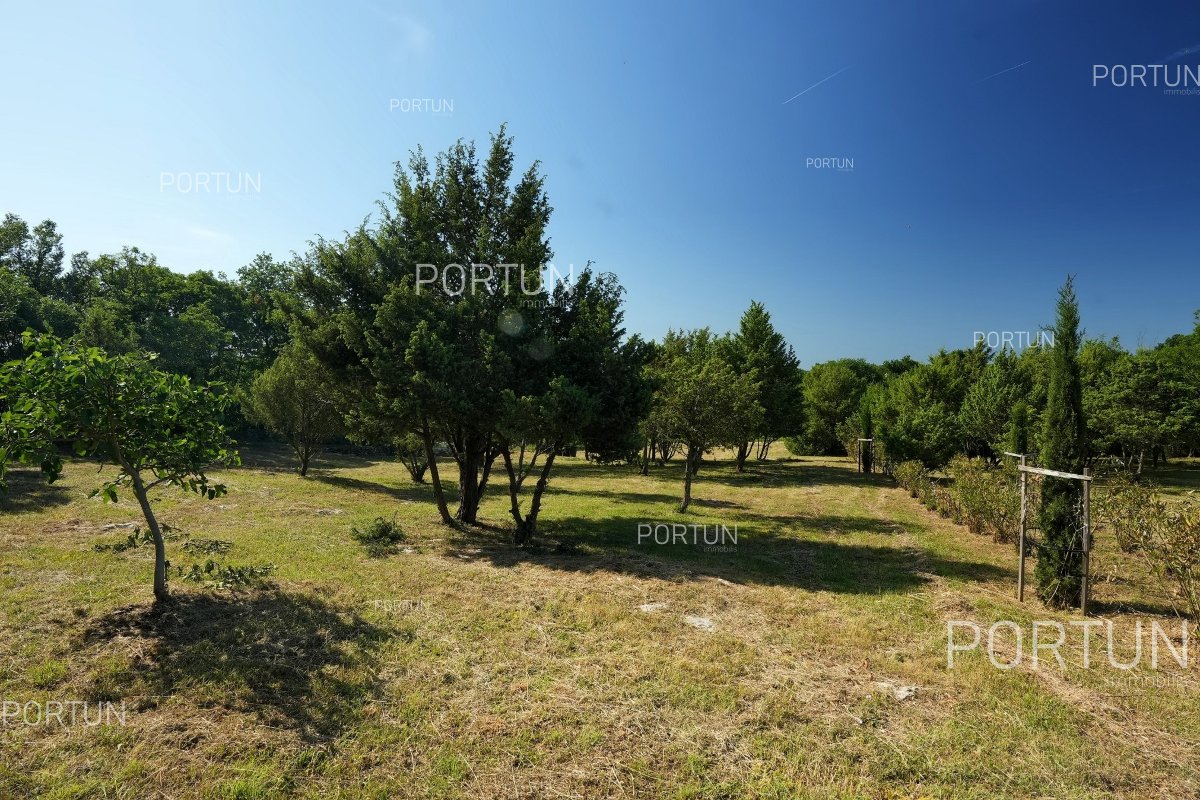 Terreno in vendita a  - 40675 - 07