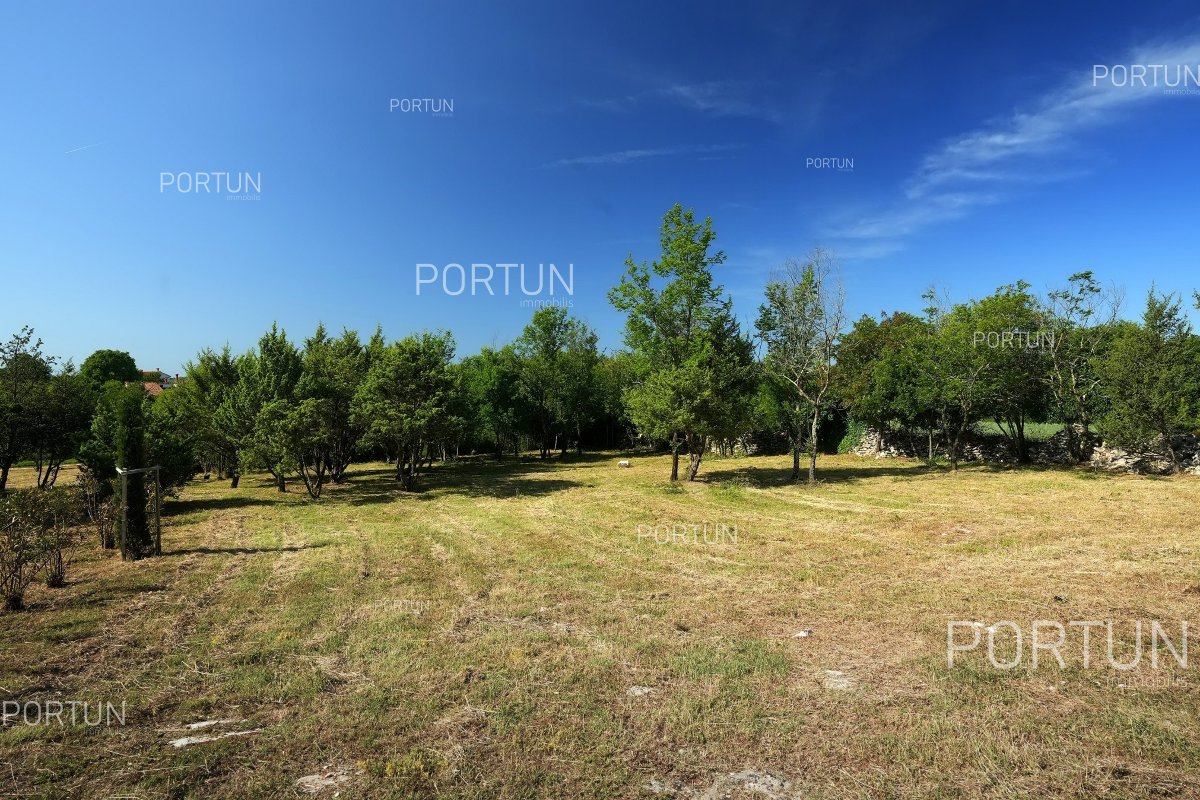 Terreno in vendita a  - 40675 - 08