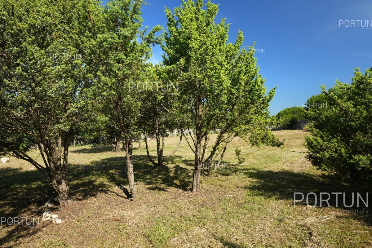 Terreno in vendita a  - 40675 - 11