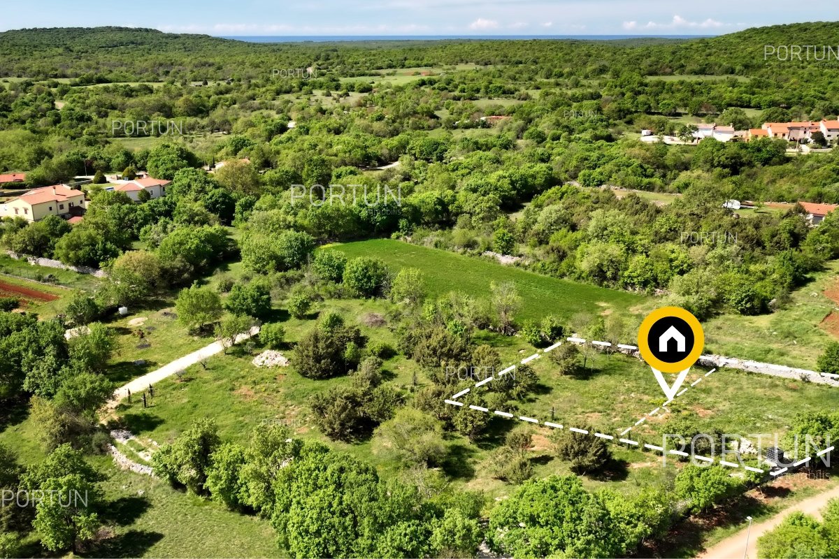 Terreno in vendita a  - 40675 - 01