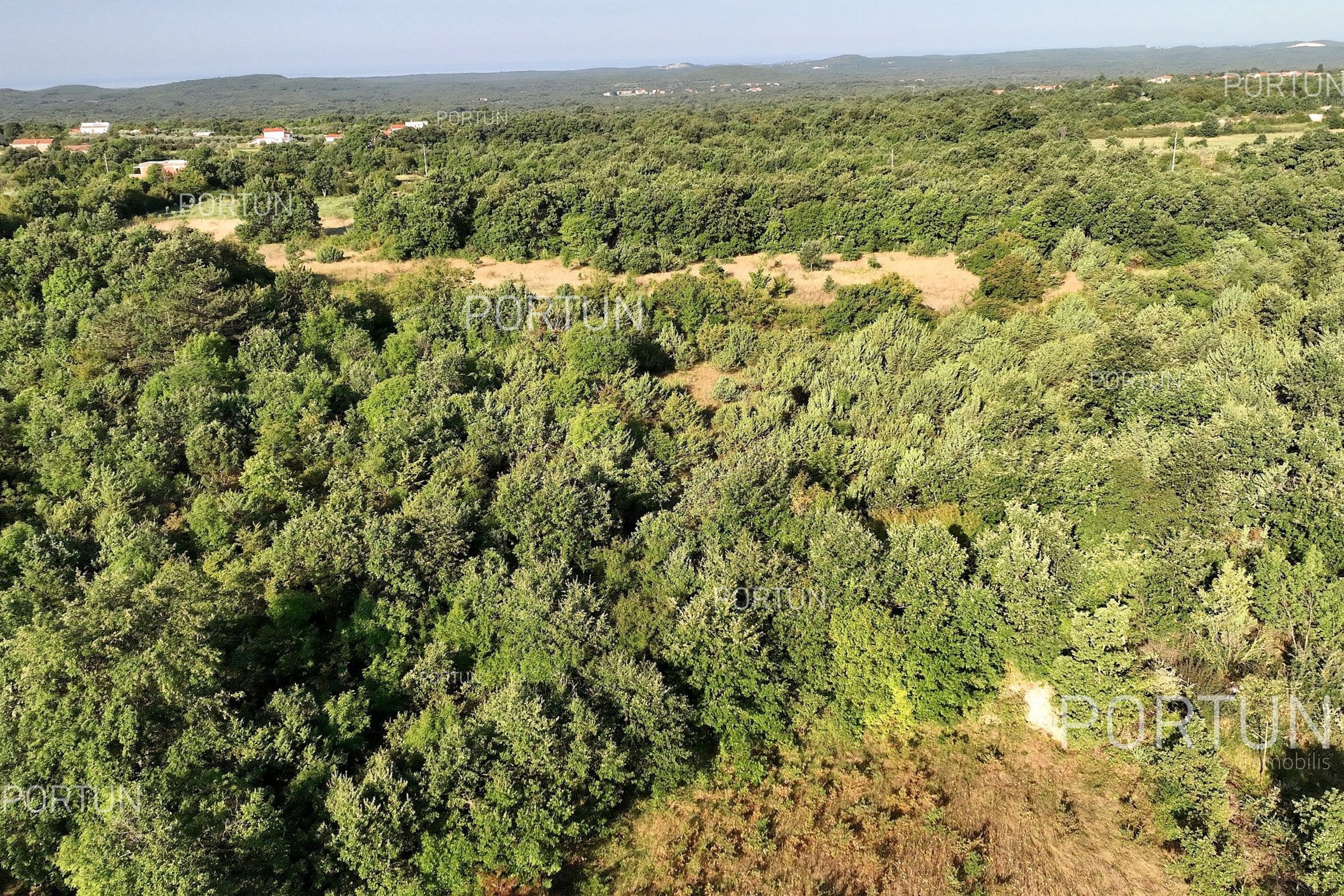Farmland in the area of Svetvinčenat 3