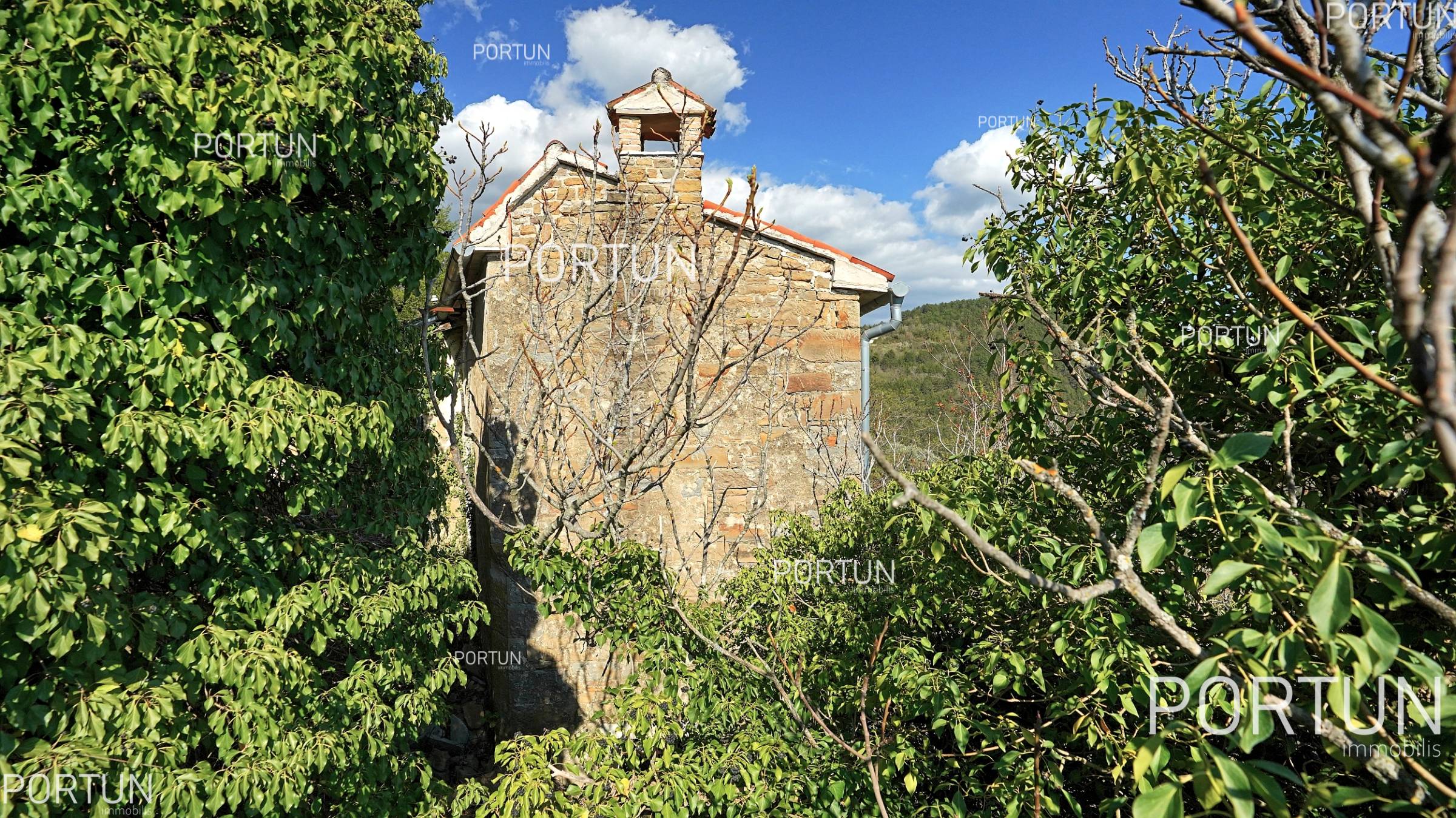 Casa in vendita a Portole - 20635 - 05