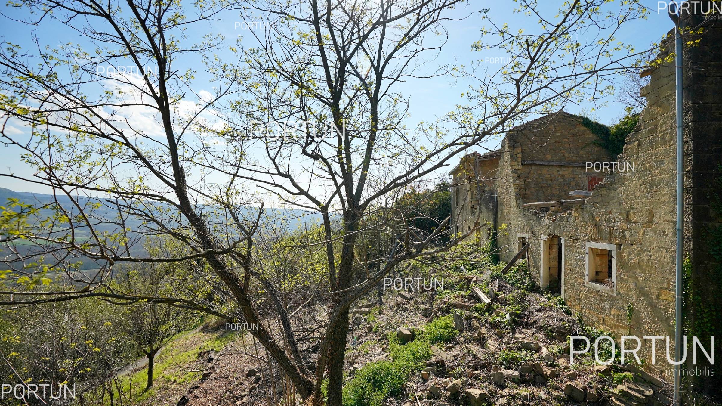 Casa in vendita a Portole - 20635 - 11