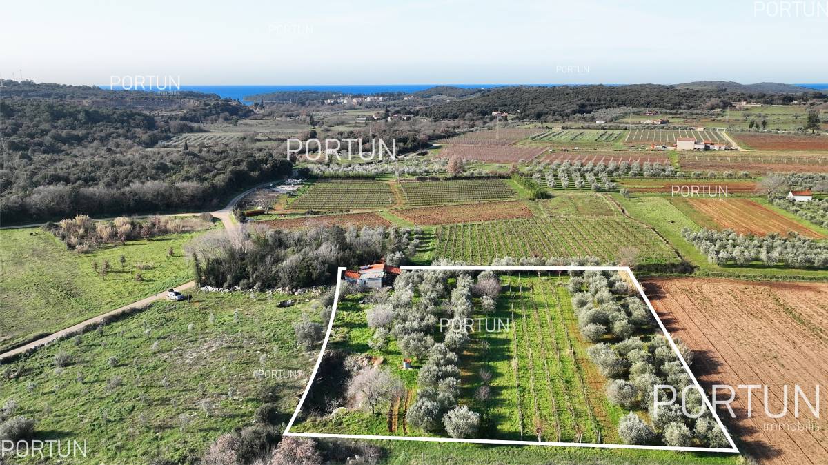 Kuća za prodaju-Rovinj-20718-638123123023348833
