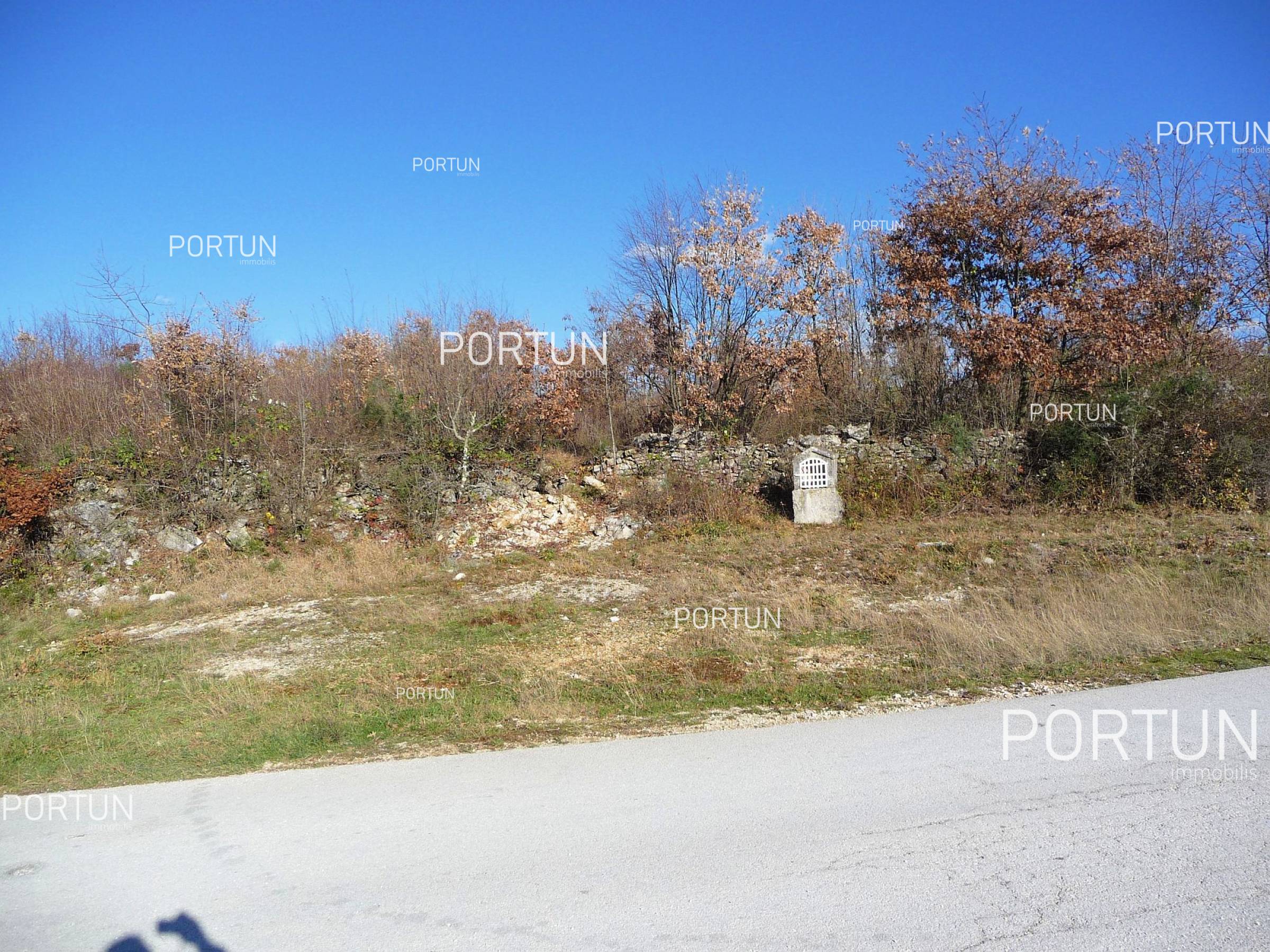 Terreno in vendita a Canfanaro - 40089 - 02
