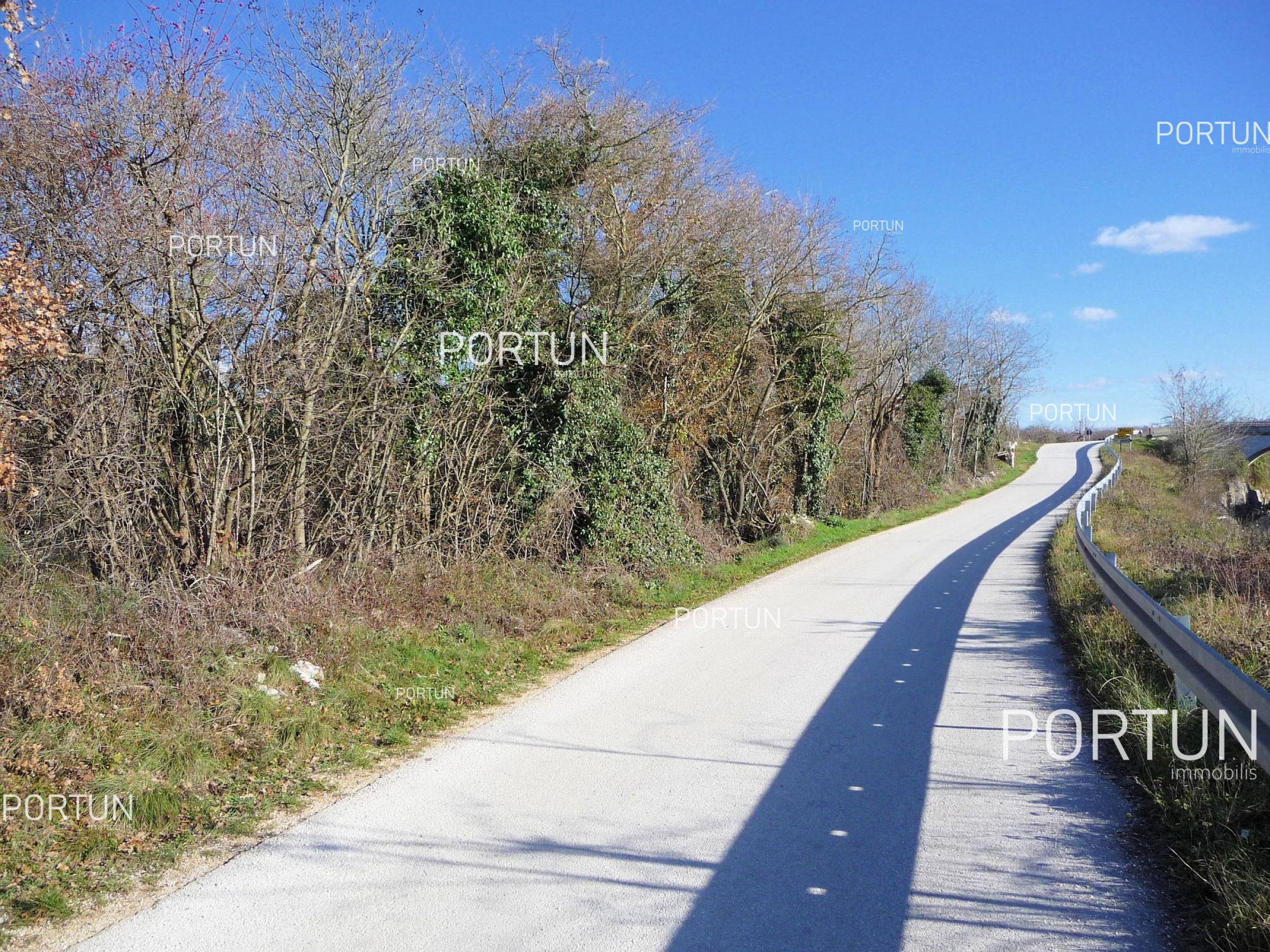 Terreno in vendita a Canfanaro - 40089 - 03