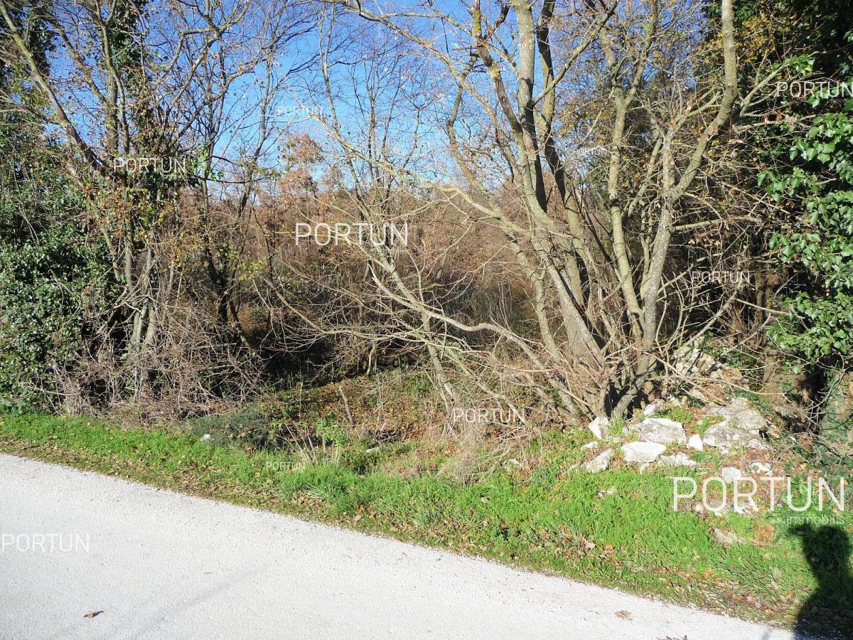 Zemljište na prodaju Kanfanar - 40089 - 05