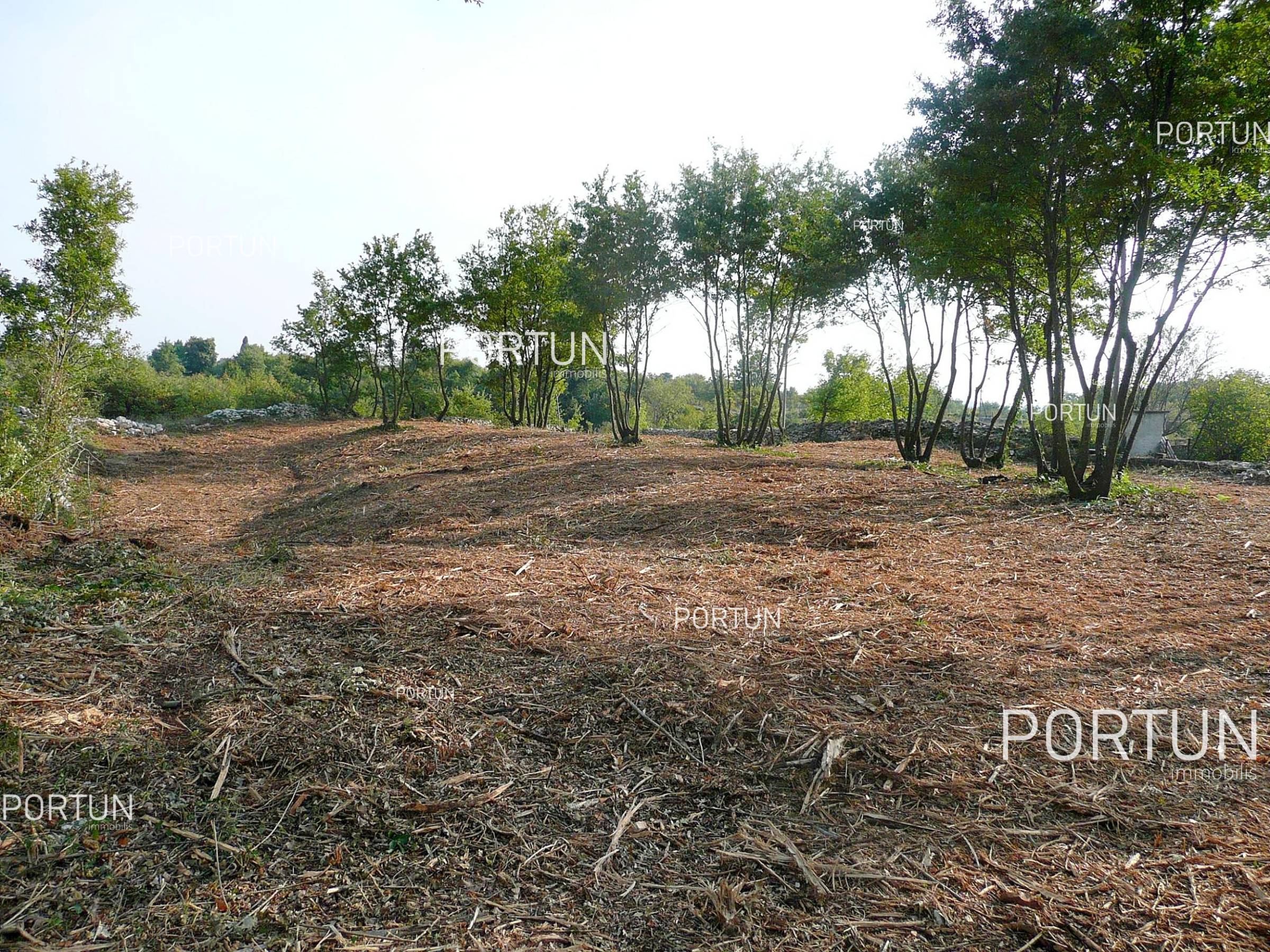 Terreno in vendita a Savincenti - 40137 - 04
