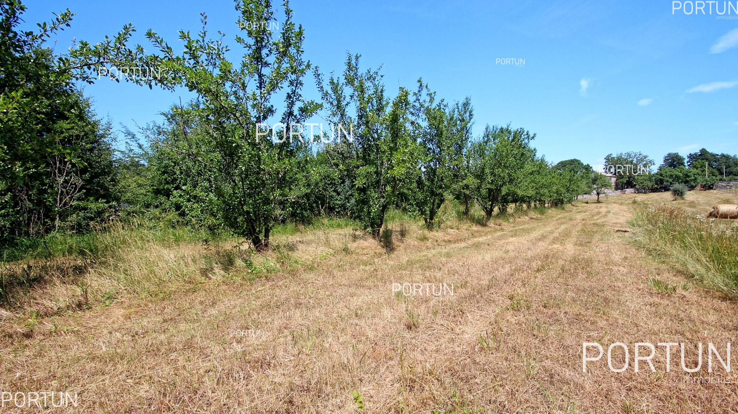 Građevinsko zemljište u okolici Žminja	 3