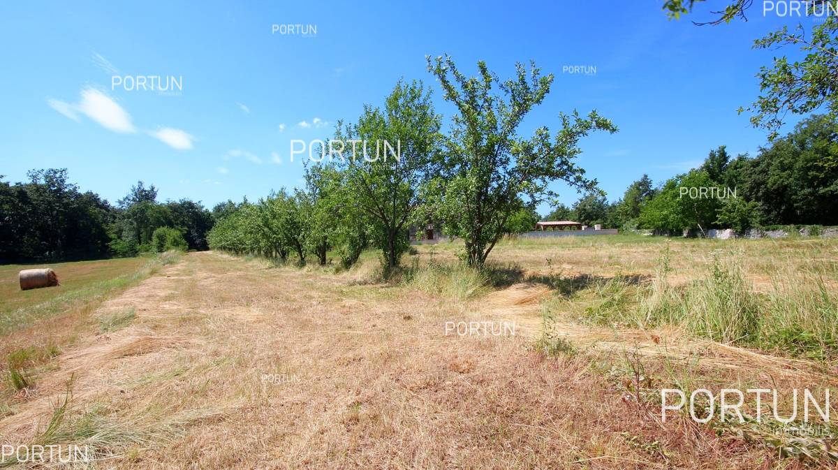 Zemljište na prodaju Žminj - 40316 - 01