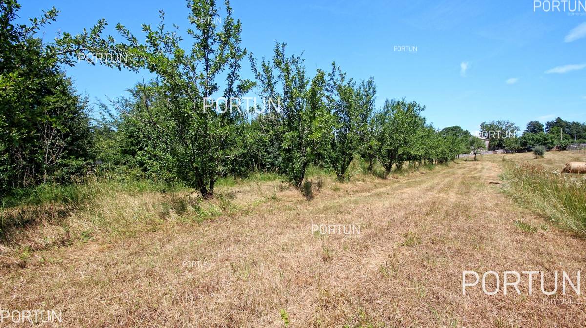 Zemljište na prodaju Žminj - 40316 - 02