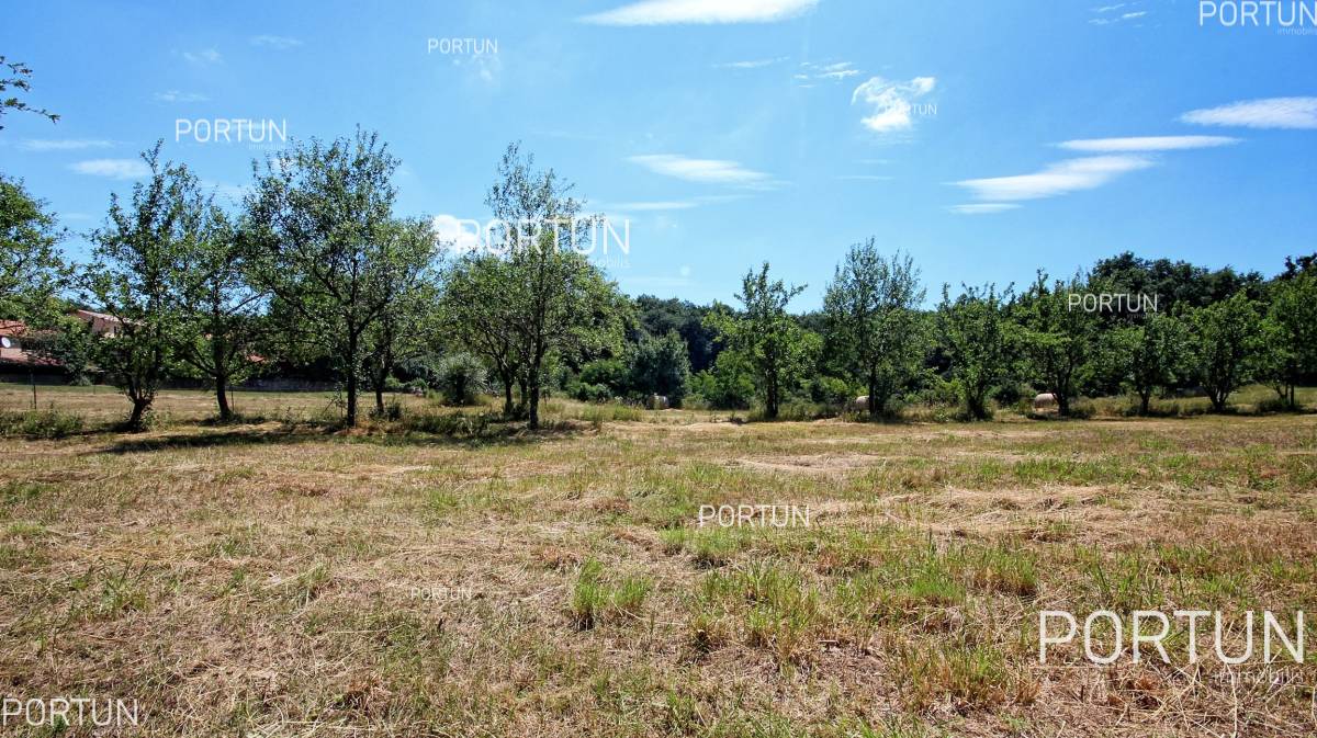 Zemljište na prodaju Žminj - 40316 - 04
