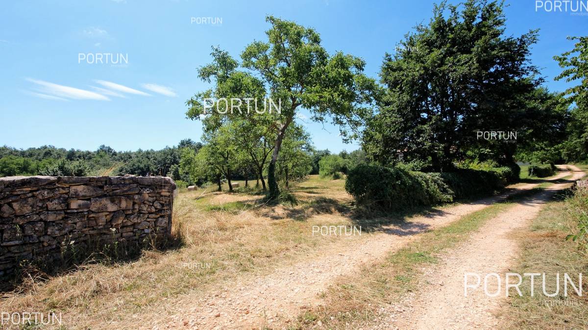 Zemljište na prodaju Žminj - 40316 - 06