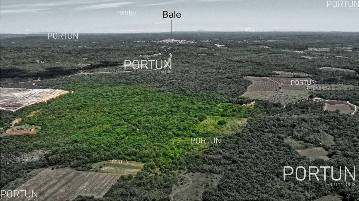 Plot of land for Sale in Bale - 40359 - 01