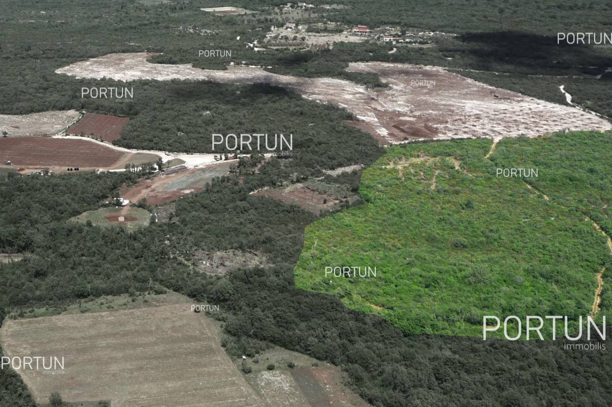 Plot of land for Sale in Bale - 40359 - 02