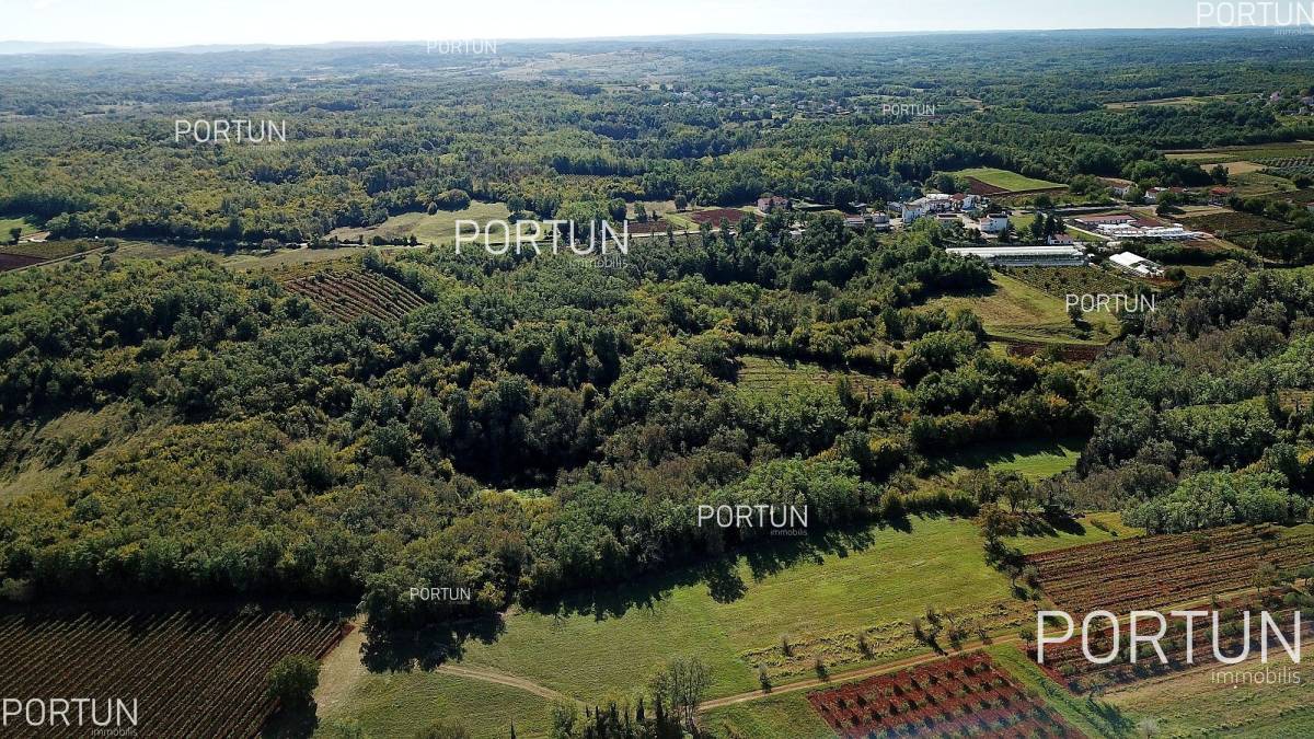 Terreno in vendita a Visignano - 40402 - 01