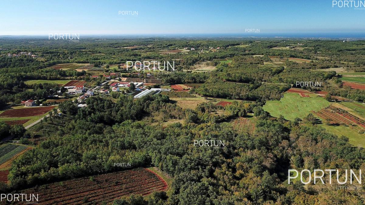 Terreno in vendita a Visignano - 40402 - 02