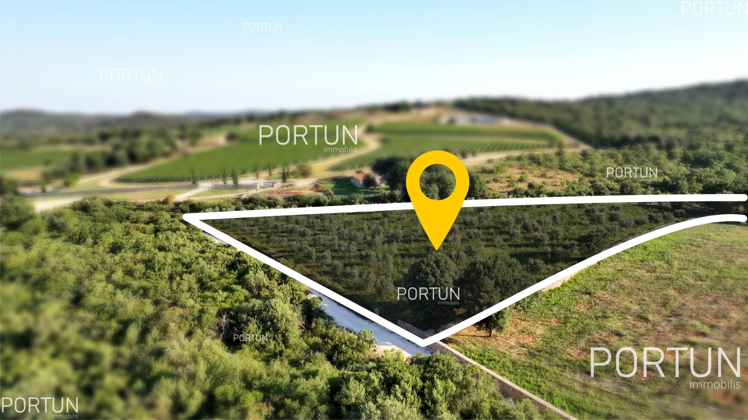 Rovinj, olive grove with permission to build a house	 1
