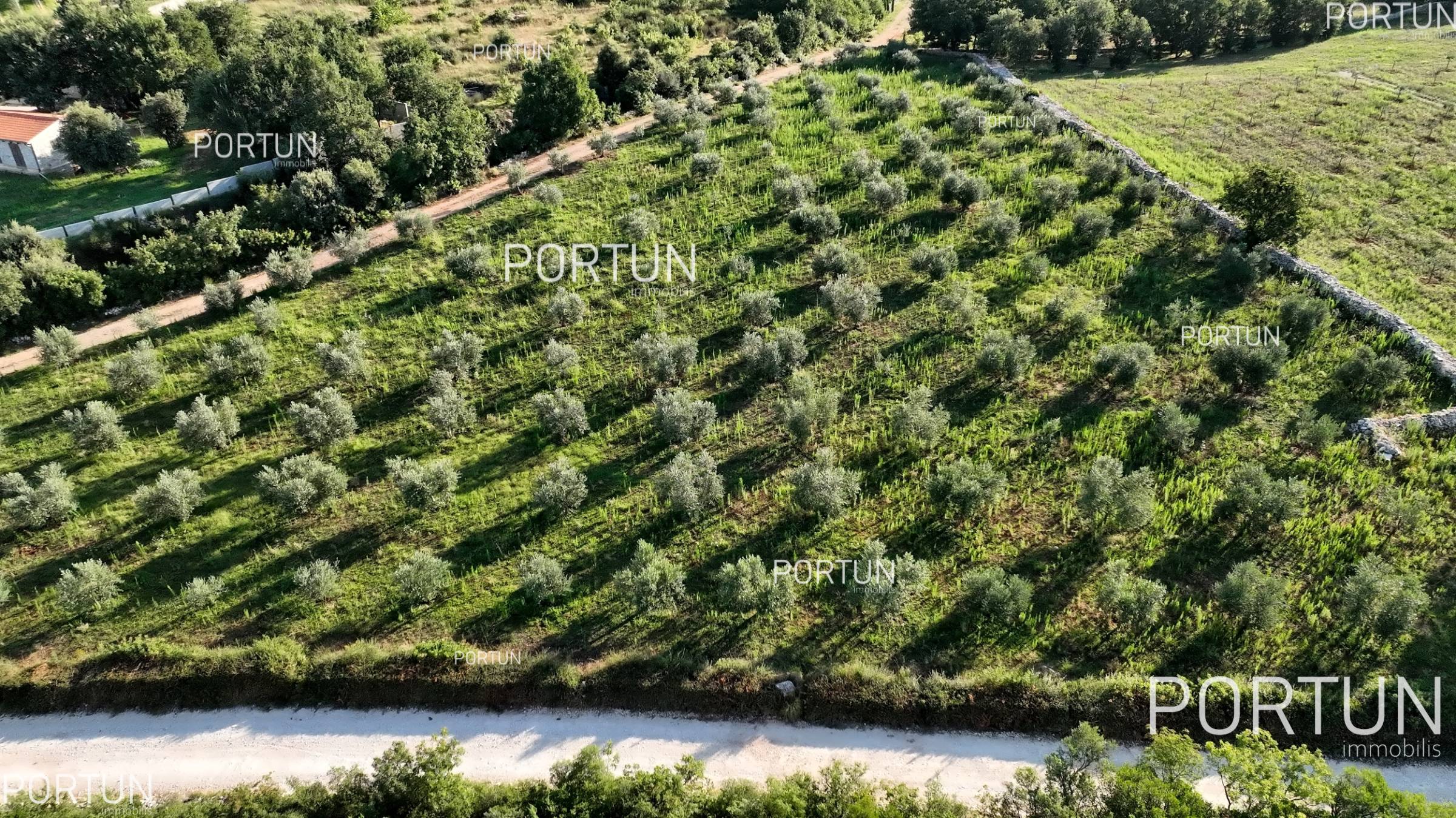 Rovinj, olive grove with permission to build a house	 2