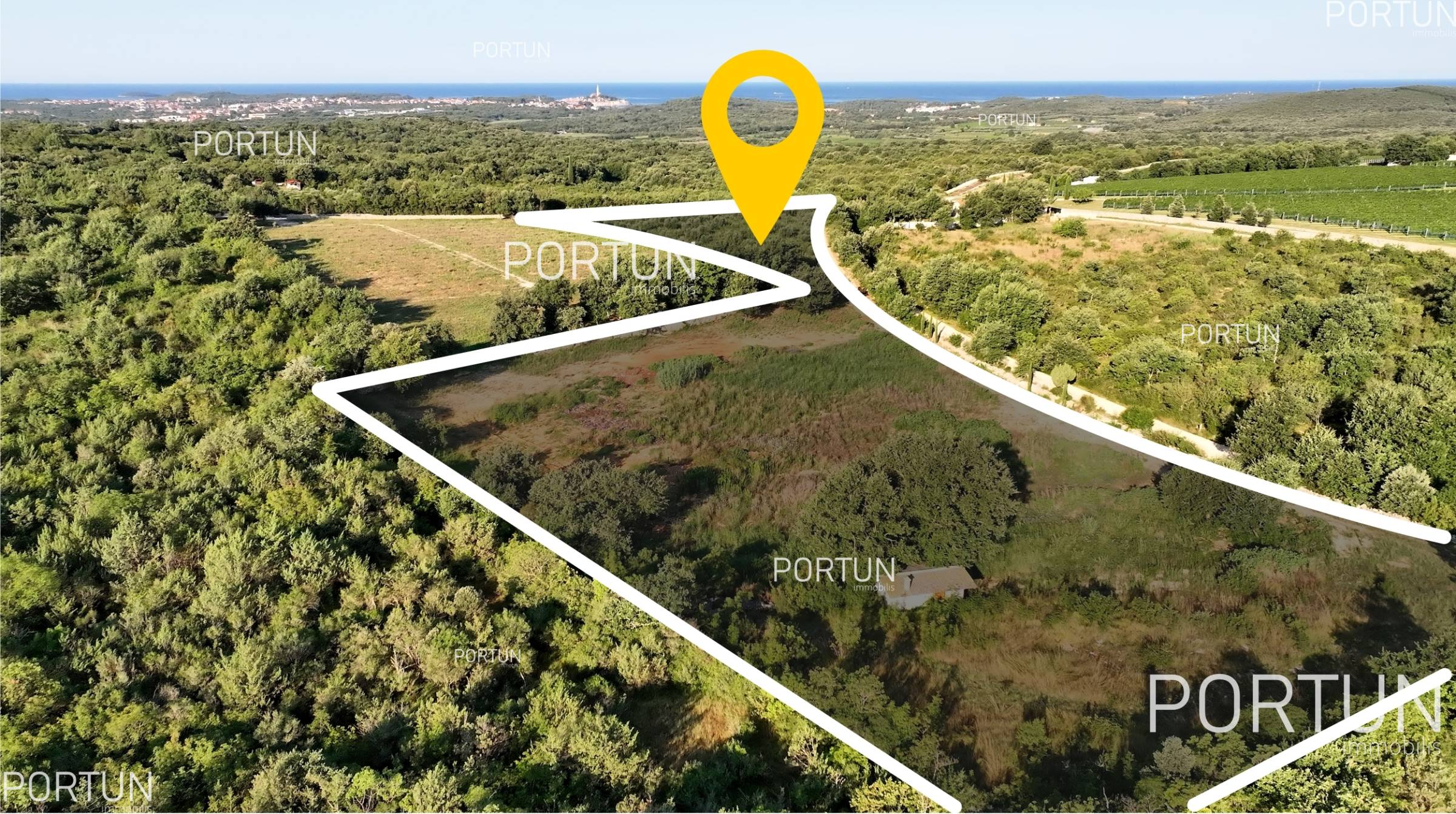 Rovinj, olive grove with permission to build a house	 4
