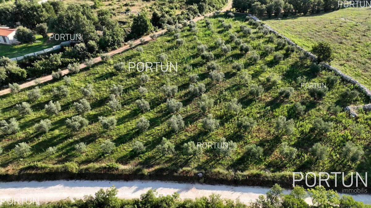 Plot of land for Sale in Rovinj - 40430 - 01