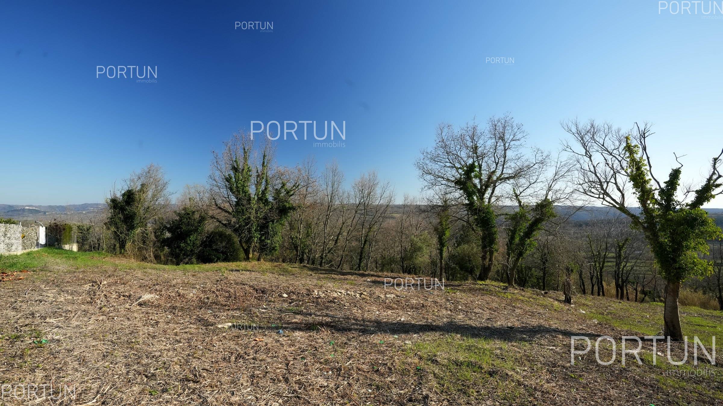 Terreno in vendita a Grisignana - 40441 - 01