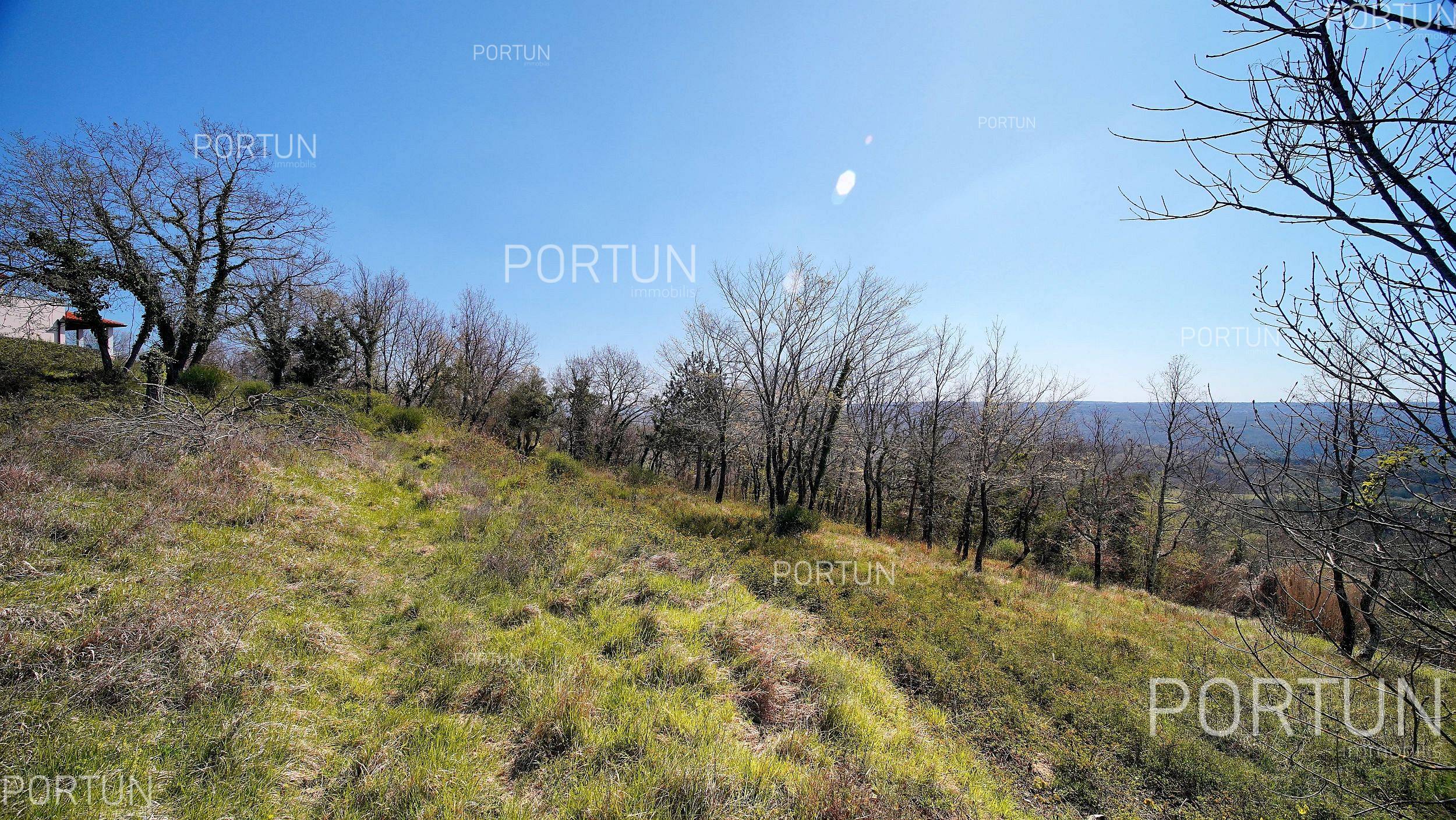Terreno in vendita a Grisignana - 40441 - 07