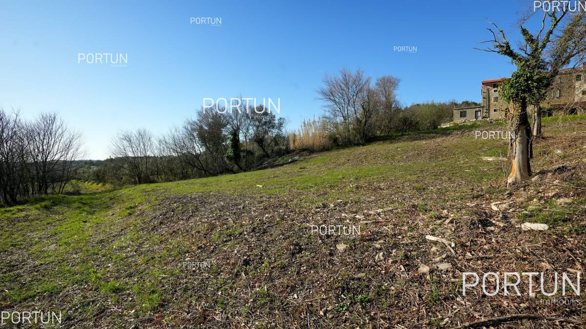 Plot of land for Sale in Grožnjan - 40441 - 04