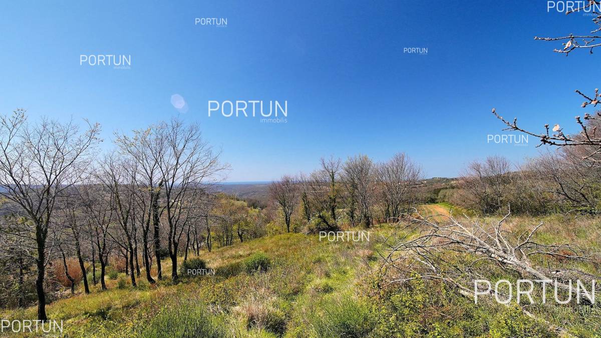 Plot of land for Sale in Grožnjan - 40441 - 06