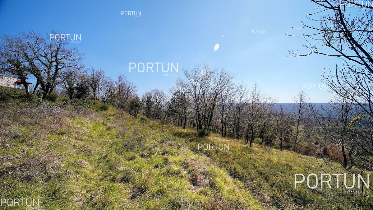 Plot of land for Sale in Grožnjan - 40441 - 07