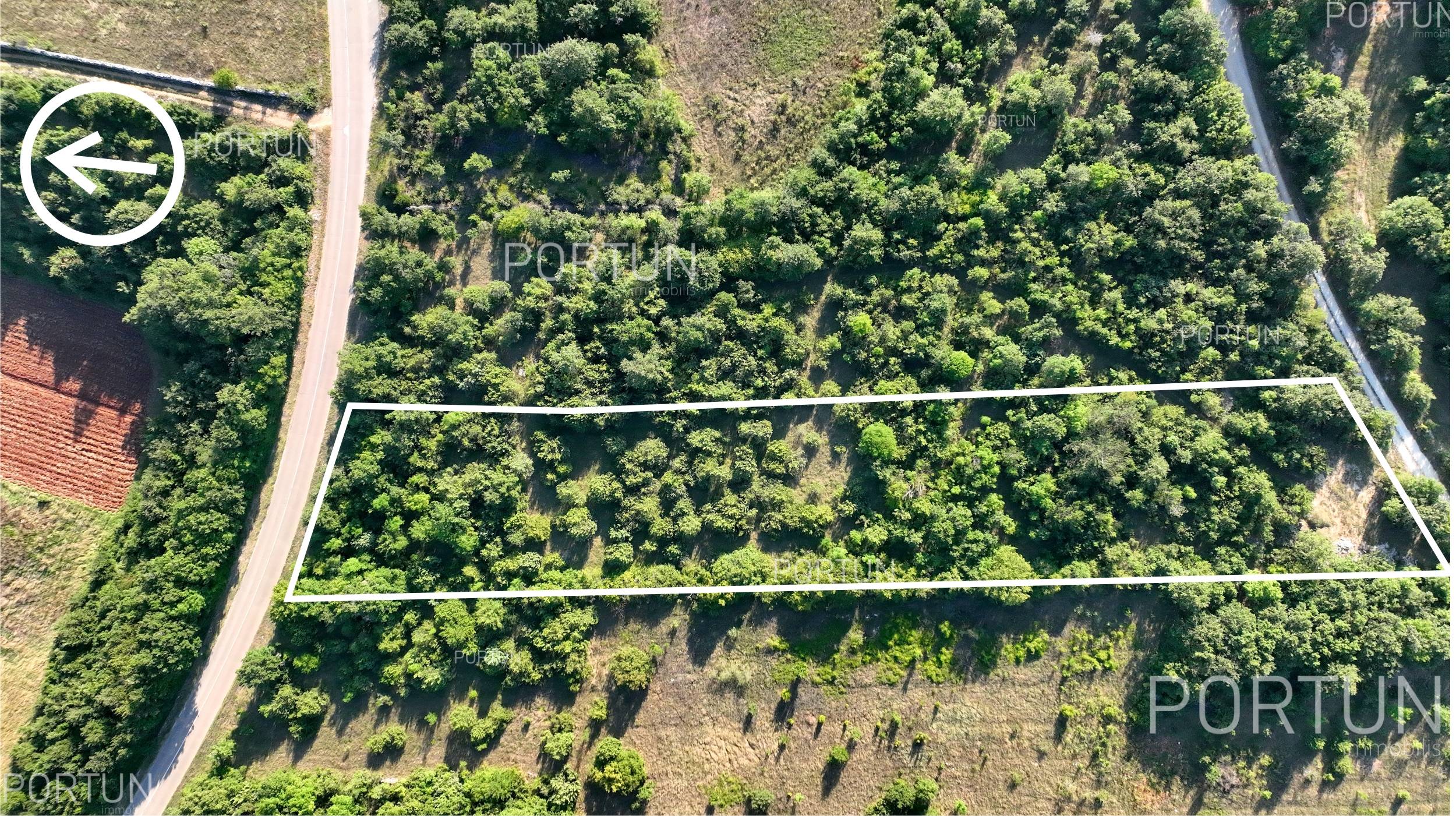Terreno in vendita a Savincenti - 40463 - 06
