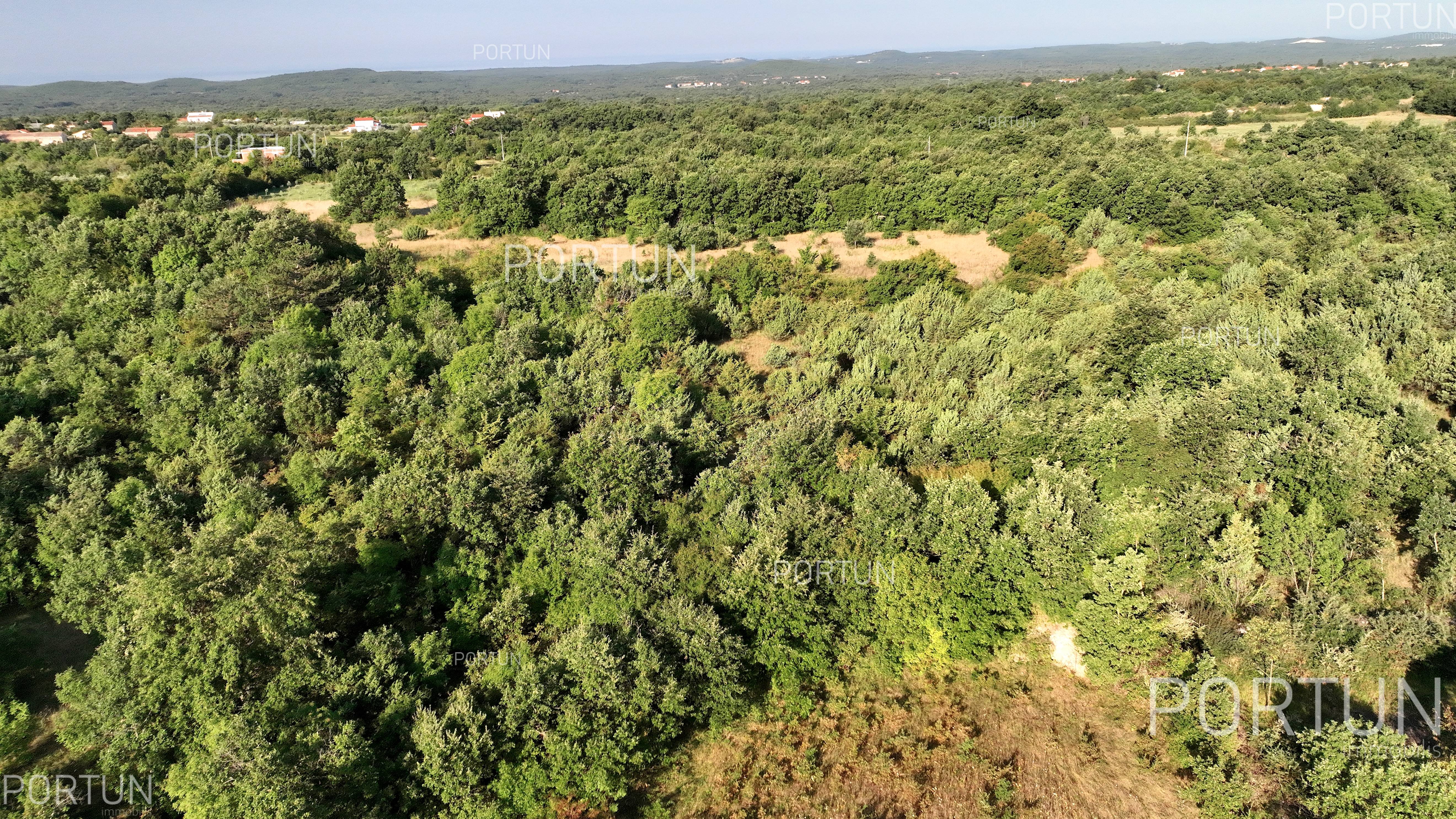Terreno in vendita a Savincenti - 40463 - 08