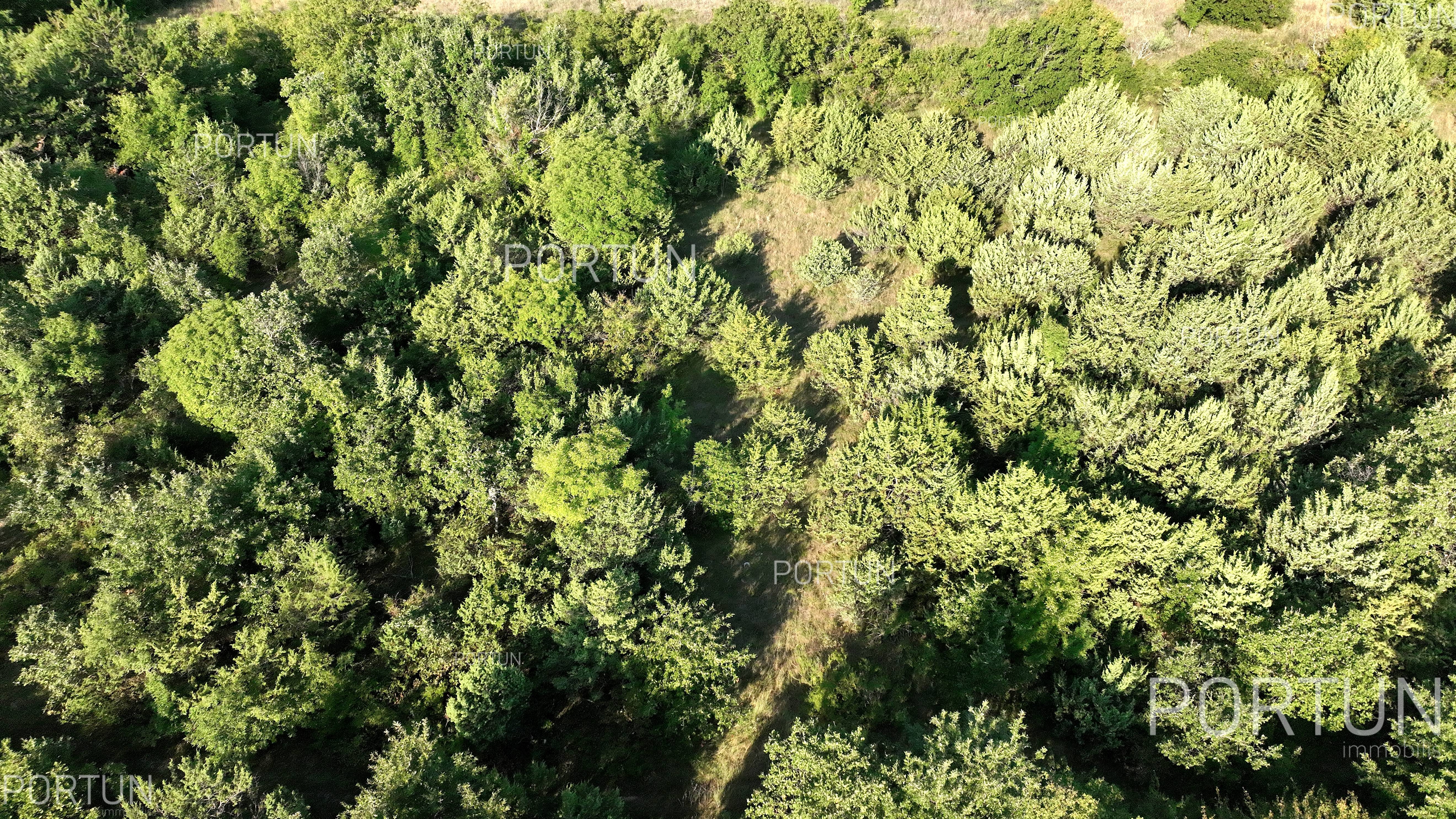 Terreno in vendita a Savincenti - 40463 - 09