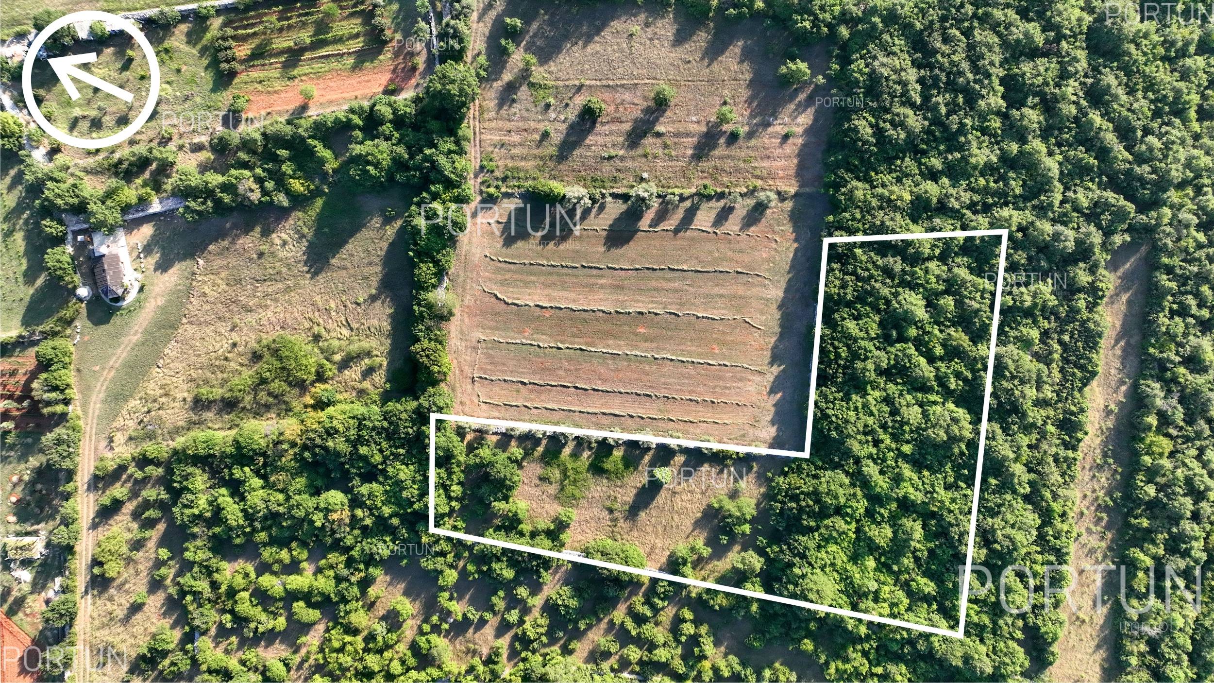 Terreno in vendita a Savincenti - 40463 - 11