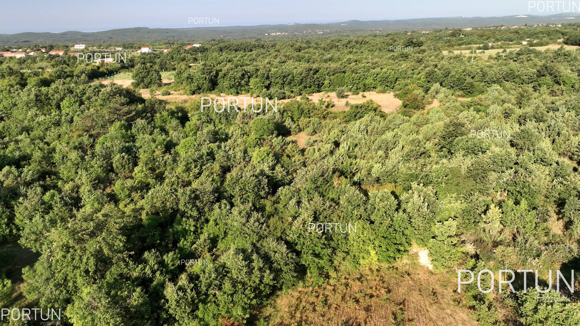 Terreno in vendita a Savincenti - 40463 - 08