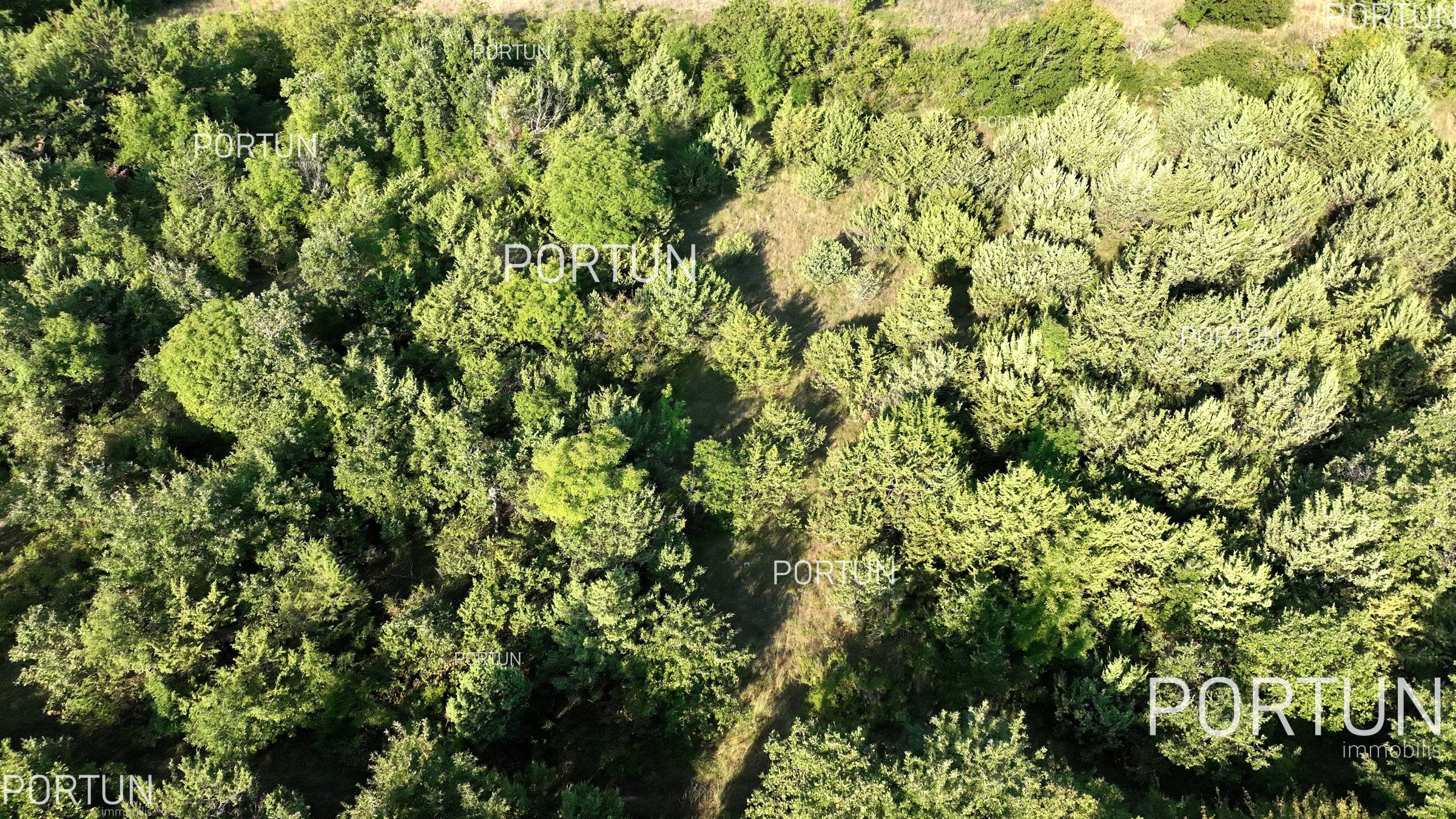 Terreno in vendita a Savincenti - 40463 - 09
