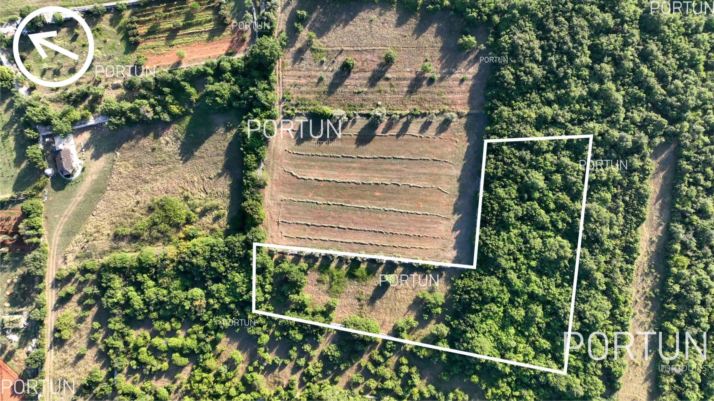 Terreno in vendita a Savincenti - 40463 - 11