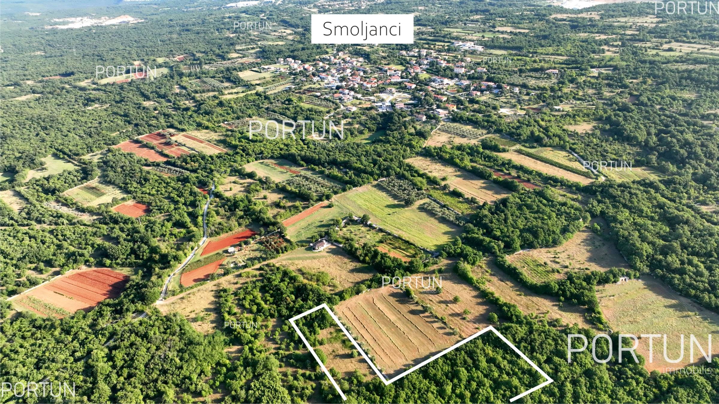 Terreno in vendita a Savincenti - 40463 - 12