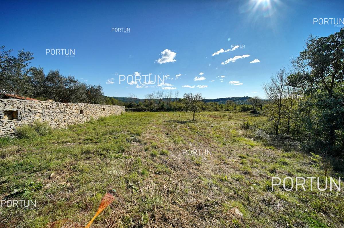 Plot of land for Sale in Buzet - 40465 - 07