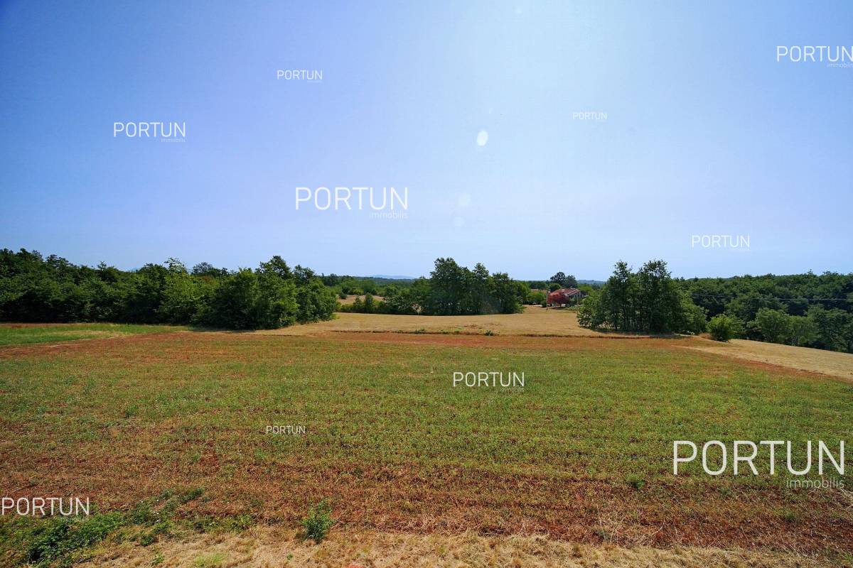 Plot of land for Sale in Žminj - 40478 - 02