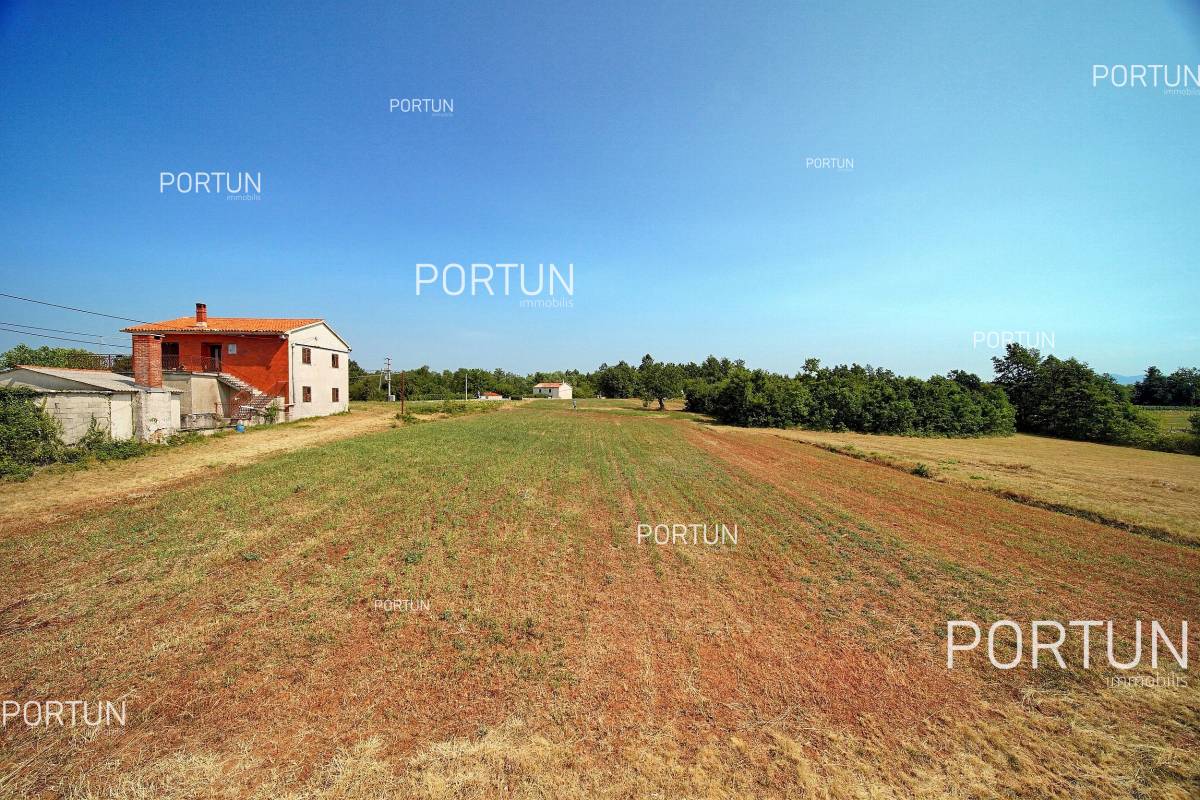 Plot of land for Sale in Žminj - 40478 - 04