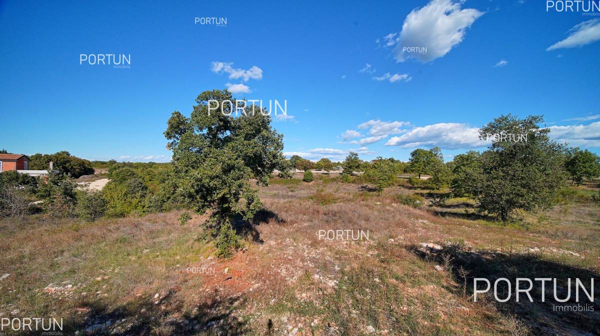 Terreno in vendita a Valle - 40487 - 05