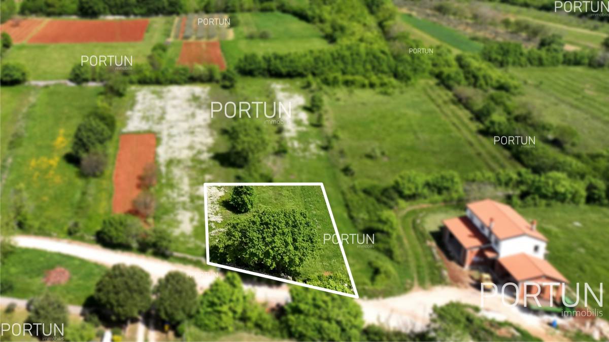 Land for sale in Istria z729  01
