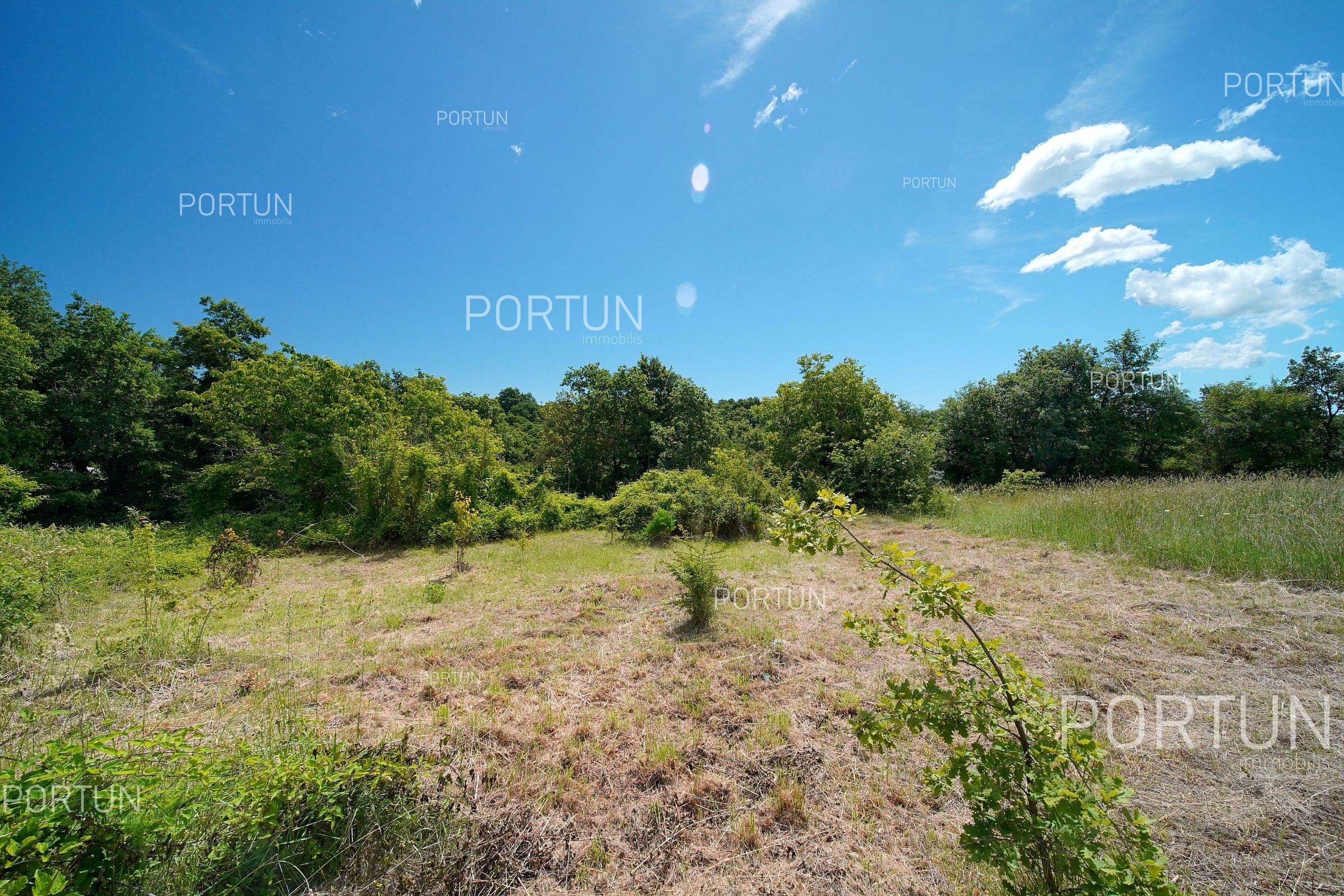 Terreno in vendita a Savincenti - 40631 - 04