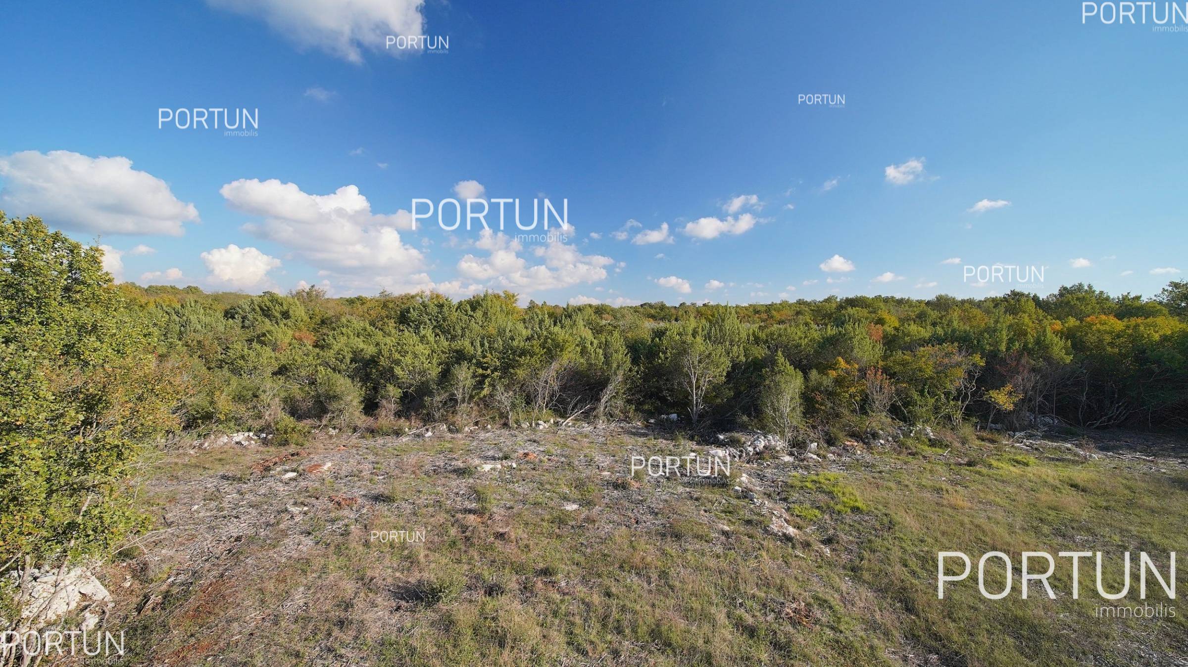 Terreno in vendita a Rovigno - 40527 - 02