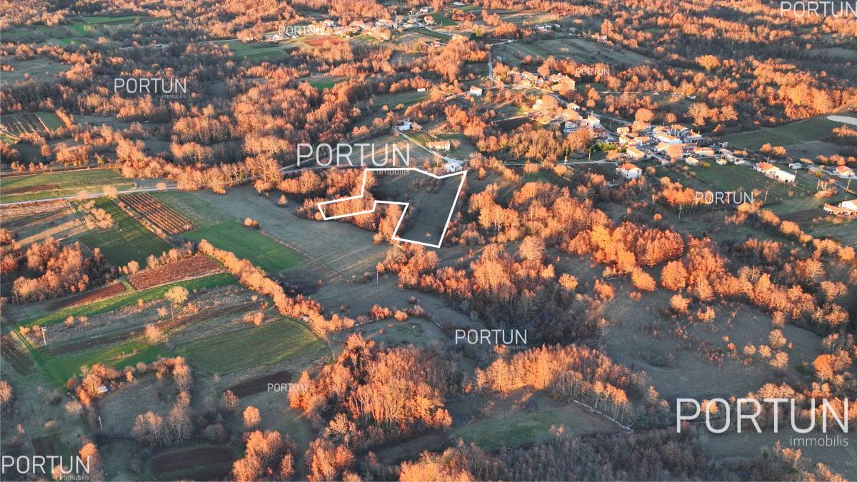 Plot of land for Sale in Žminj - 40532 - 02