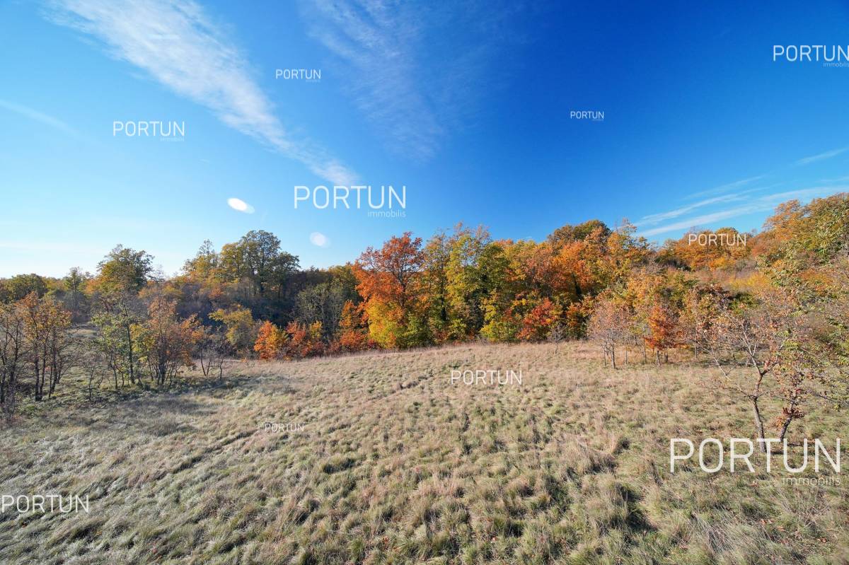 Plot of land for Sale in Žminj - 40532 - 06